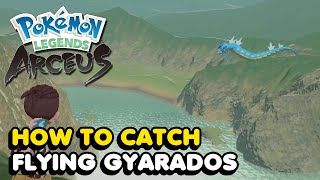 How To Catch The Flying Gyarados In Pokemon Legends Arceus Location [upl. by Yemorej536]