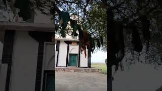 A shrine in Jand Najjar Gujar Khan shortvideo village sufi punjab [upl. by Tonia]