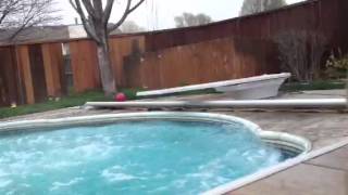 Hilarious diving board FAIL [upl. by Rehpotsrhc]