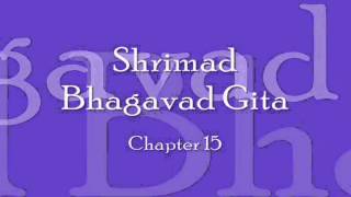 Bhagavad Gita  Chapter 15 Complete Sanskrit recitation [upl. by Yleik420]