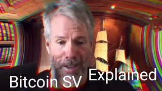 Bitcoin SV explained [upl. by Sherrie]