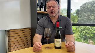 Wine Review Riunite Lambrusco Emilia IGT [upl. by Acceber117]