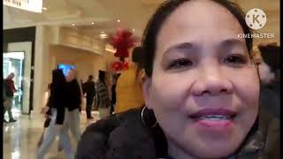 DAY TOUR AT BELLAGIO HOTEL2024Jeanettes Lifestyle [upl. by Giah]