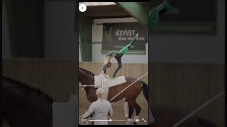 ⁠NO WATERMARK bc clips for TopEquestrian these good music equestrain [upl. by Charron]