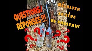 🗝 2 Sève de bouleau 👉  QuestionsRéponses avant de commencer [upl. by Teriann223]