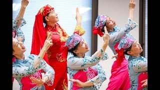 Behindthescenes at Sydney Chinese New Year Festival 2018 [upl. by Ees834]