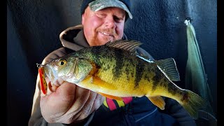 Jumbo Perch Tactics Locations amp Underwater Strikes [upl. by Ramled]