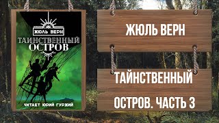 ЖЮЛЬ ВЕРН  ТАИНСТВЕННЫЙ ОСТРОВ  ЧАСТЬ 3 [upl. by Enoval635]