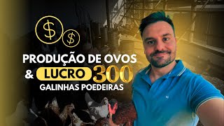 Produção de ovos e Lucro com 300 galinhas poedeiras [upl. by Olva]