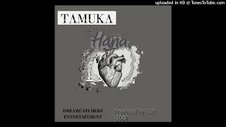 Tamuka  HanaOfficial Audio [upl. by Shirk]