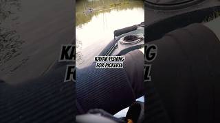 Kayak Fishing For Chain Pickerel Hudson River fish fishing [upl. by Burd]