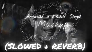 Animal X Kabir Singh Mashup  SLOWED  REVERB  Reverb Master  2024 [upl. by Anirhtak]