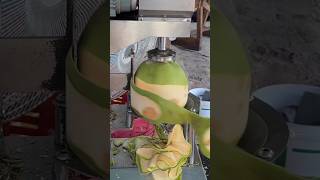 Wow The coolest way to peel a coconut  Fruit Cutting Skills [upl. by Arykat]