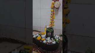 Temple and pooja om namah shivay harharmahadevtrendingshorts ytshorts [upl. by Roux]