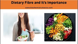 Dietary Fibre and Its importance  Dietary Fibre Biochemistry [upl. by Aleafar]