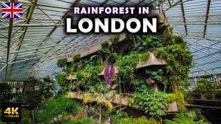 Guide to Barbican Centre in London 🇬🇧 Huge Garden at Barbican Conservatory [upl. by Doane]