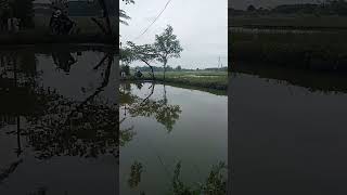 Mancing Mania Mabar Medan [upl. by Acinahs279]