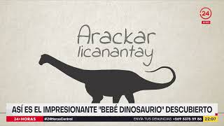 Descubren embrión de dinosaurio casi en perfecto estado [upl. by Lorsung]