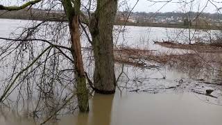 Monongahela River flood at Nine Mile Run and Duck Hollow 20240404 0728 [upl. by Leissam]