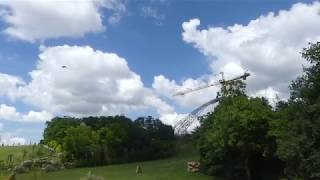 ZooParc de Beauval 2018  Free flight bird Masters of airs show Spectacle doiseaux [upl. by Maren]