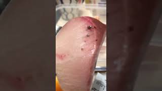 SASHIMI HAMACHI hongkong food asmr viralvideo seafood sashimi hamachi rawfood [upl. by Eilrebma]