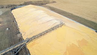 PILING UP THE CORN IN IOWA AND FAST ACTION ON THE UNION PACIFIC DRONE VIEWS [upl. by Letsirhc]