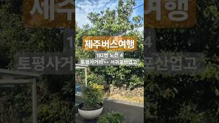 제주도 버스여행 182번 노선 시리즈4 Jeju Island Bus Tour Route 182 Series4 [upl. by Winn826]