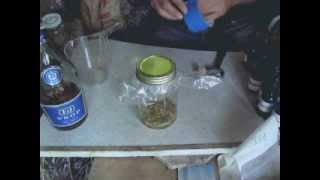 Making Passionflower Passiflora Passion Vines P platyloba Tincture [upl. by Acirtal]