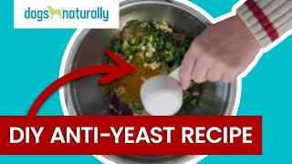 Yeasty Dog Try This DIY Yeast Diet For Dogs [upl. by Hitoshi]