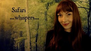 ASMR  Safari Whispers  EartoEar Expedition im Dschungel  deutsch  german 🌴3🌴 [upl. by Yalcrab45]