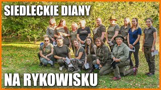 Siedleckie Diany wyruszyły na rykowisko [upl. by Sorenson]