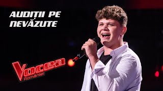 Oleg Spînu  quotIll put a spell on youquot  Audiții pe Nevăzute  Vocea României  Sezonul 12 [upl. by Vanhomrigh]