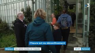 Belgique Les serres royales de Laeken ont rouvert au public cette année [upl. by Serrano994]