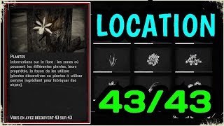 Red Dead Redemption 2  ENCYCLOPÉDIE PLANTES 4343 EMPLACEMENT Guide et soluce [upl. by Einnek991]