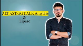 ALT AST ALP GGT Amylase and Lipase Part 2 in Liver Pathology [upl. by Kliment957]