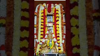 Toogire Rayara music raghavendrasongs raghavendra trendingshorts  raghavendraswamytemple [upl. by Eldrid]