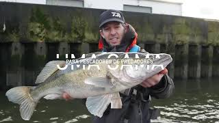 Daiwa  PROREX AGS SPINNING [upl. by Mcfadden]