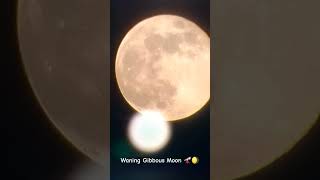 Waning Gibbous Moon 🔭🌖 astronomyequipment telescope lunarphase timelapse [upl. by Imyaj804]