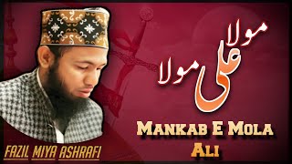 Mann kunto maula maula ali aliSayeed Fazil Miya Ashrfi By Ziai Sound System8890855786 [upl. by Conover]