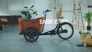 Das Babboe Curve [upl. by Aicilyt]