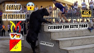 📹🔝🔝ANIMALES MUY BRAVOS DESAFIO [upl. by Akerdnahs]