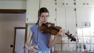 Farewell to Peter  Tennessee Waltz Violin Cover [upl. by Anissa]