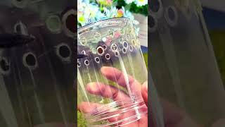 MMA Shorts  Fish Aquarium Filter  DIY Internal Filter  Pneumatic Filter aquariumfilter fish [upl. by Tibbitts]