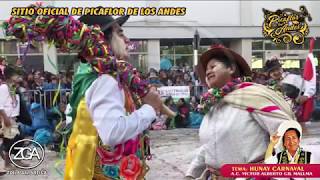 Picaflor de los Andes  Hunay Carnaval [upl. by Htidirem]