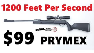 Testing Pyramyds CHEAPEST Break Barrel Air Rifle Umarex PRYMEX Review in 177 or 22 [upl. by Shotton]