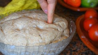 Homemade PIZZA dough recipe fluffy bread [upl. by Wyatan]