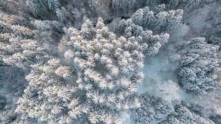 DJI MINI 3 PRO  Wunderschöne Winterlandschaft im Allgäu [upl. by Craw]