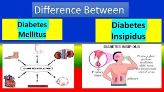 Difference Between Diabetes Mellitus and Diabetes Insipidus [upl. by Korns]