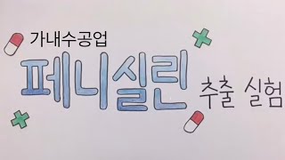 집에서 페니실린 DIY 만들기 사고실험  고1 미술 수행평가 작품  How to Make Penicillin at Home [upl. by Nevil]