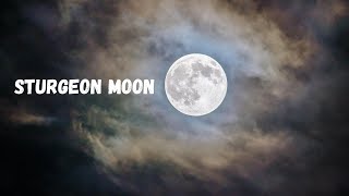 What Is The Meaning Of A Sturgeon Moon [upl. by Pliam]